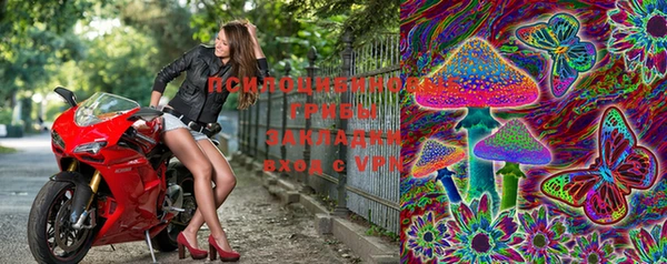 MESCALINE Коряжма
