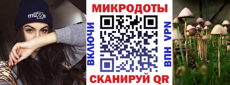 Галлюциногенные грибы мицелий  наркота  blacksprut онион  Александровское 